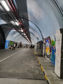 上有天堂，下有我摯愛廈門——廈門南洋風情的獨特魅力